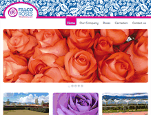 Tablet Screenshot of fillcoflowers.com